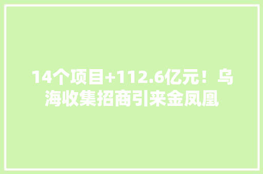 14个项目+112.6亿元！乌海收集招商引来金凤凰
