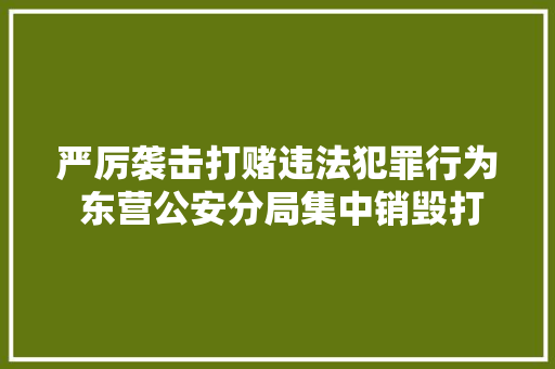 严厉袭击打赌违法犯罪行为 东营公安分局集中销毁打赌机20余台