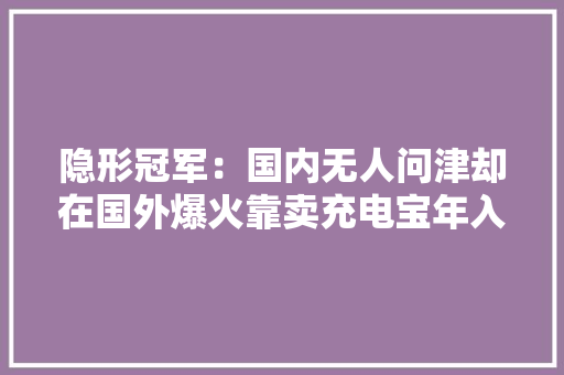 隐形冠军：国内无人问津却在国外爆火靠卖充电宝年入66亿