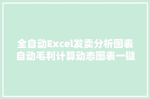 全自动Excel发卖分析图表自动毛利计算动态图表一键变色