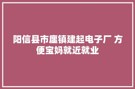 阳信县市廛镇建起电子厂 方便宝妈就近就业