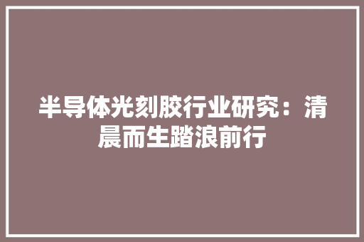 半导体光刻胶行业研究：清晨而生踏浪前行