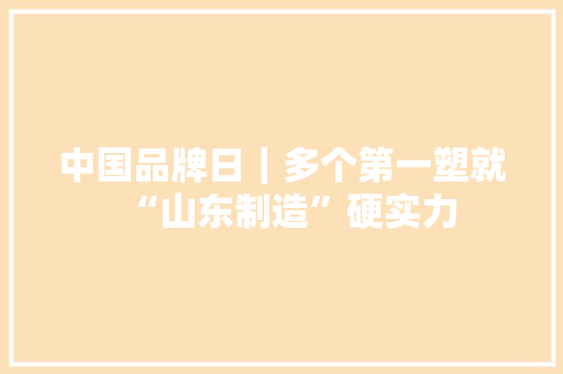 中国品牌日｜多个第一塑就“山东制造”硬实力
