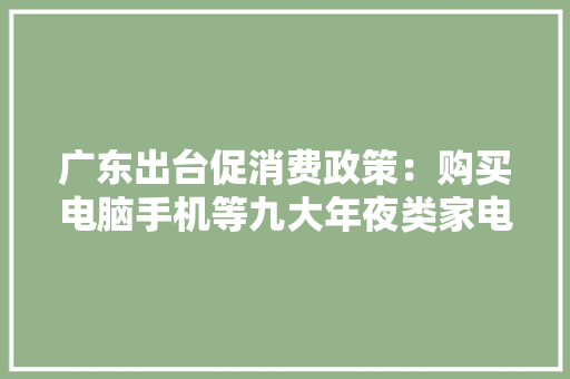 广东出台促消费政策：购买电脑手机等九大年夜类家电有补贴
