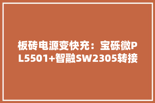 板砖电源变快充：宝砾微PL5501+智融SW2305转接板体验评测