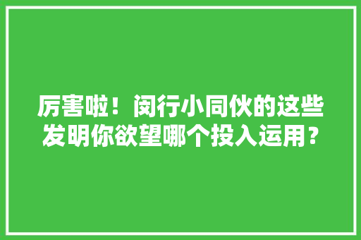 厉害啦！闵行小同伙的这些发明你欲望哪个投入运用？