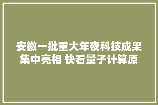 安徽一批重大年夜科技成果集中亮相 快看量子计算原型机“九章号”长啥样