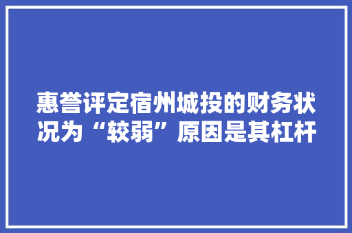 惠誉评定宿州城投的财务状况为“较弱”原因是其杠杆率高企