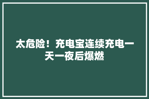 太危险！充电宝连续充电一天一夜后爆燃