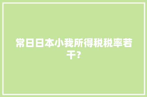 常日日本小我所得税税率若干？