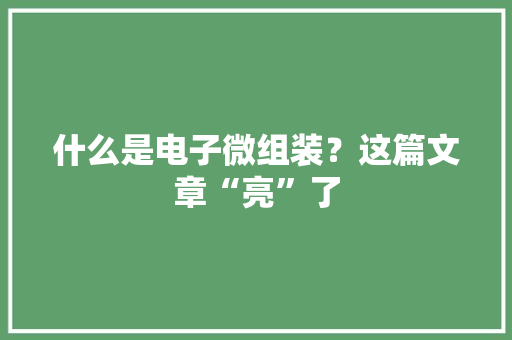 什么是电子微组装？这篇文章“亮”了