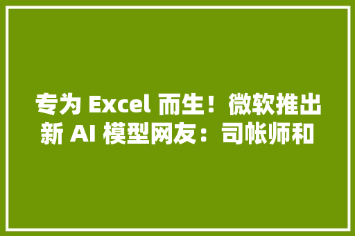 专为 Excel 而生！微软推出新 AI 模型网友：司帐师和数据分析师危？