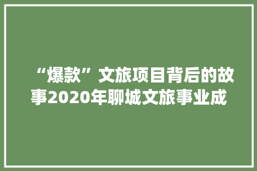 “爆款”文旅项目背后的故事2020年聊城文旅事业成长亮点回眸(二)