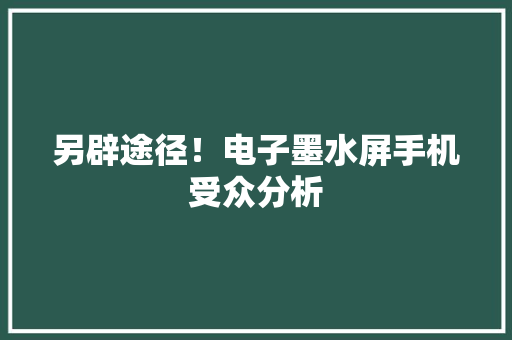 另辟途径！电子墨水屏手机受众分析