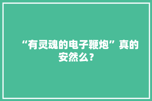 “有灵魂的电子鞭炮”真的安然么？