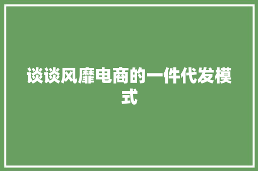 谈谈风靡电商的一件代发模式