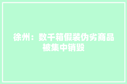 徐州：数千箱假装伪劣商品被集中销毁