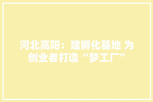 河北高阳：建孵化基地 为创业者打造“梦工厂”