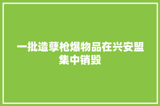 一批造孽枪爆物品在兴安盟集中销毁