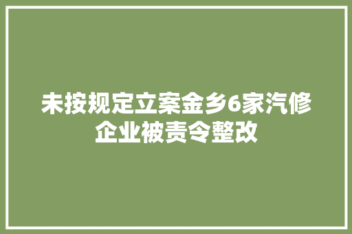 未按规定立案金乡6家汽修企业被责令整改