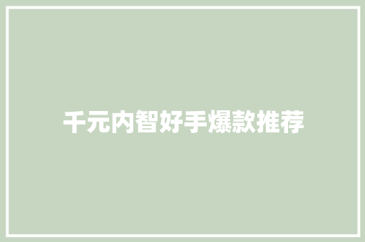 千元内智好手爆款推荐