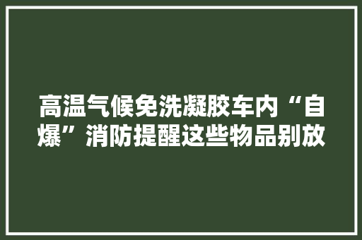 高温气候免洗凝胶车内“自爆”消防提醒这些物品别放车内