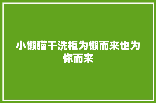 小懒猫干洗柜为懒而来也为你而来