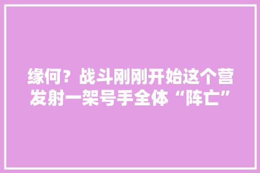 缘何？战斗刚刚开始这个营发射一架号手全体“阵亡”