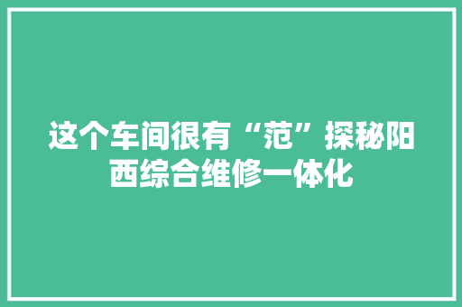 这个车间很有“范”探秘阳西综合维修一体化