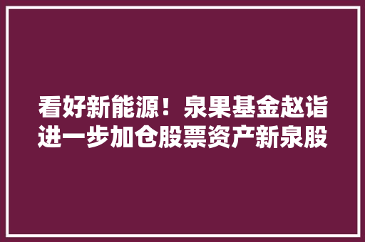 看好新能源！泉果基金赵诣进一步加仓股票资产新泉股份新进前十