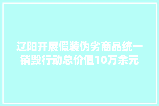 辽阳开展假装伪劣商品统一销毁行动总价值10万余元