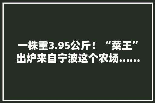 一株重3.95公斤！“菜王”出炉来自宁波这个农场……