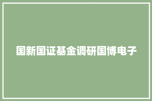 国新国证基金调研国博电子