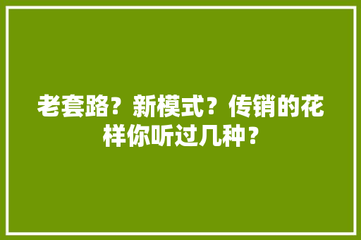 老套路？新模式？传销的花样你听过几种？