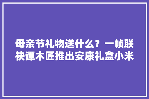 母亲节礼物送什么？一帧联袂谭木匠推出安康礼盒小米系的价格