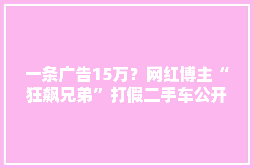 一条广告15万？网红博主“狂飙兄弟”打假二手车公开道歉!