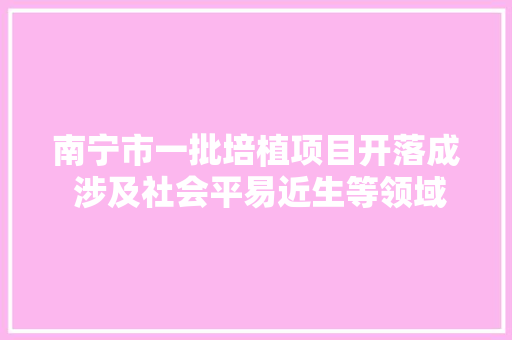 南宁市一批培植项目开落成 涉及社会平易近生等领域