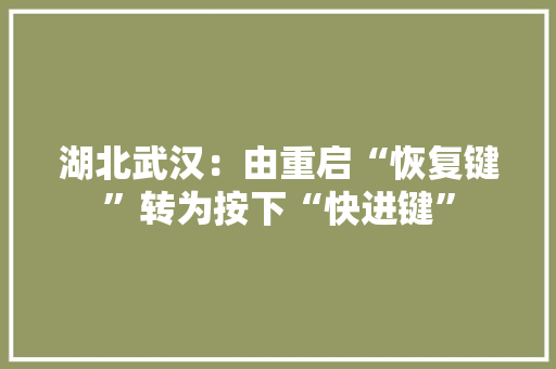 湖北武汉：由重启“恢复键”转为按下“快进键”