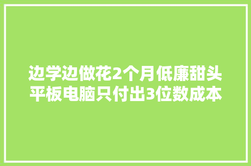边学边做花2个月低廉甜头平板电脑只付出3位数成本赚到8000元