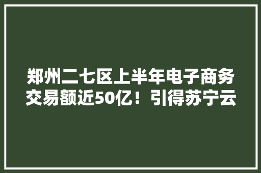 郑州二七区上半年电子商务交易额近50亿！引得苏宁云商入园