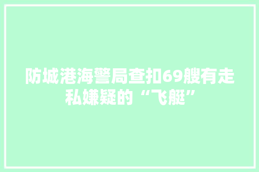 防城港海警局查扣69艘有走私嫌疑的“飞艇”