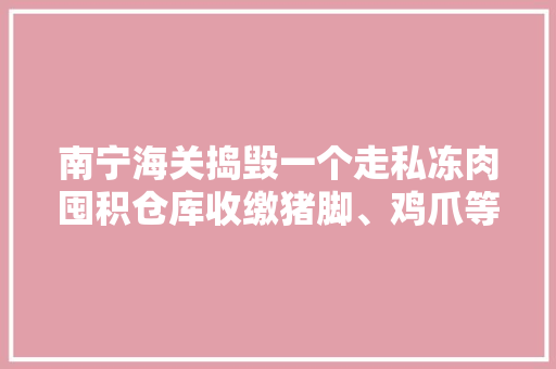 南宁海关捣毁一个走私冻肉囤积仓库收缴猪脚、鸡爪等冻品25吨