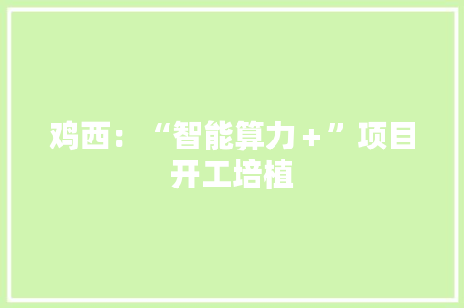 鸡西：“智能算力＋”项目开工培植