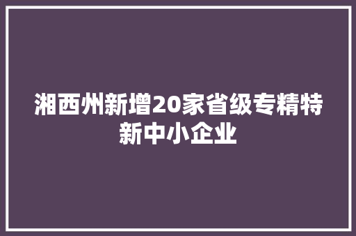 湘西州新增20家省级专精特新中小企业