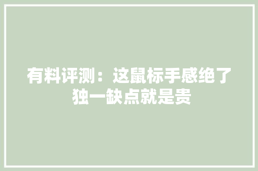 有料评测：这鼠标手感绝了 独一缺点就是贵