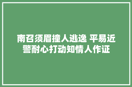 南召须眉撞人逃逸 平易近警耐心打动知情人作证