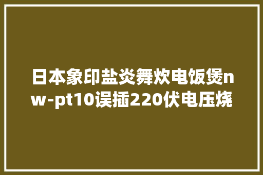 日本象印盐炎舞炊电饭煲nw-pt10误插220伏电压烧坏修理