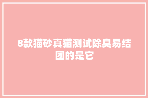 8款猫砂真猫测试除臭易结团的是它
