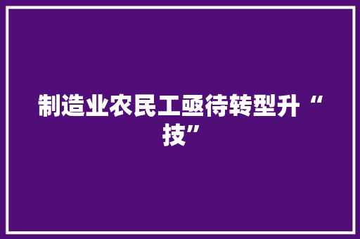 制造业农民工亟待转型升“技”