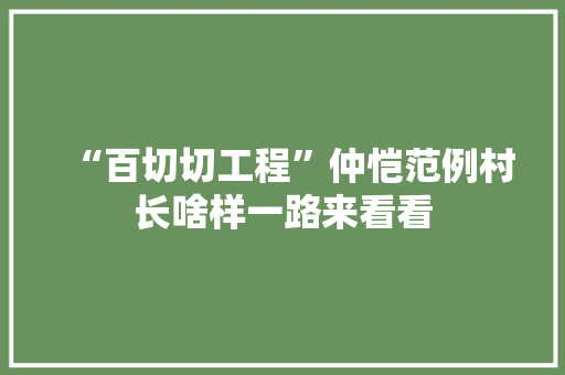 “百切切工程”仲恺范例村长啥样一路来看看